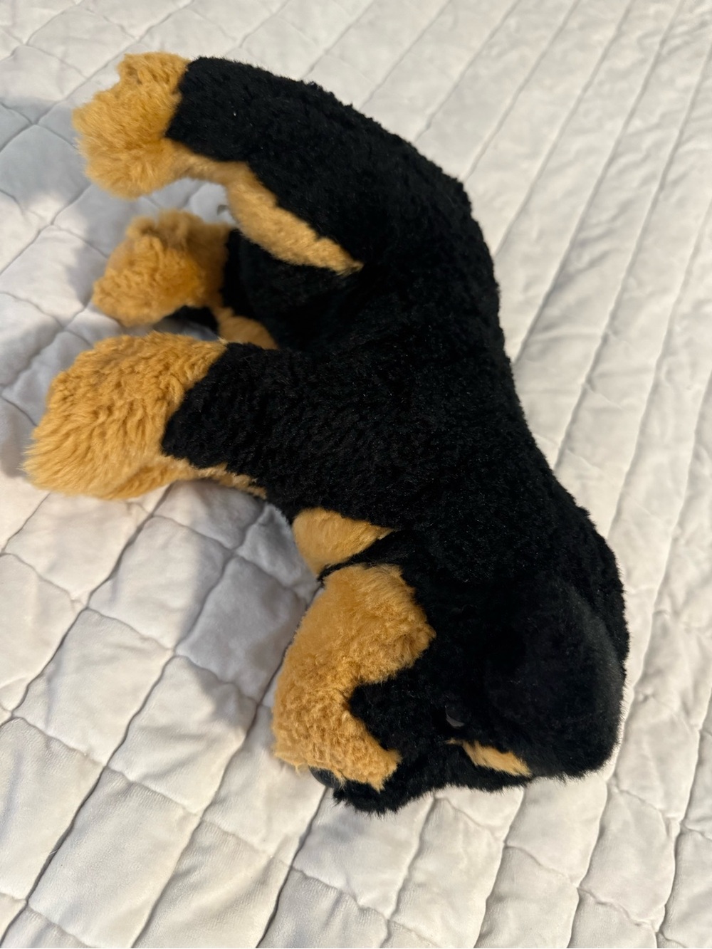 Douglas Rottweiler Plush - Picture 3 of 5